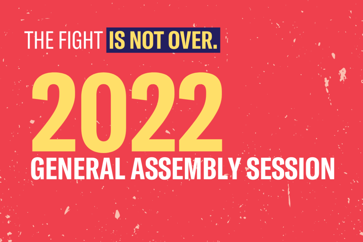 white background with the following text: The fight is not over: 2022 General Assembly session.