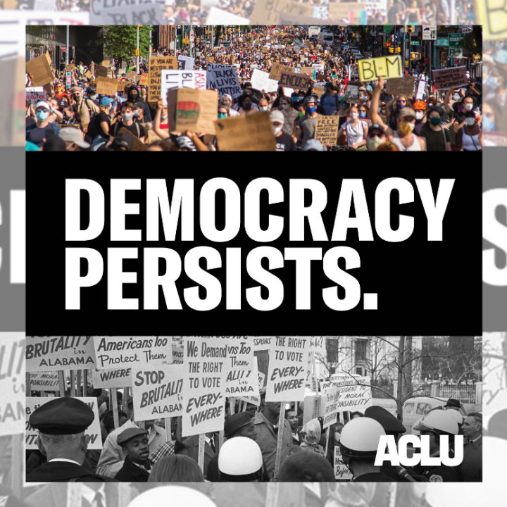 graphic with a text "democracy persists"