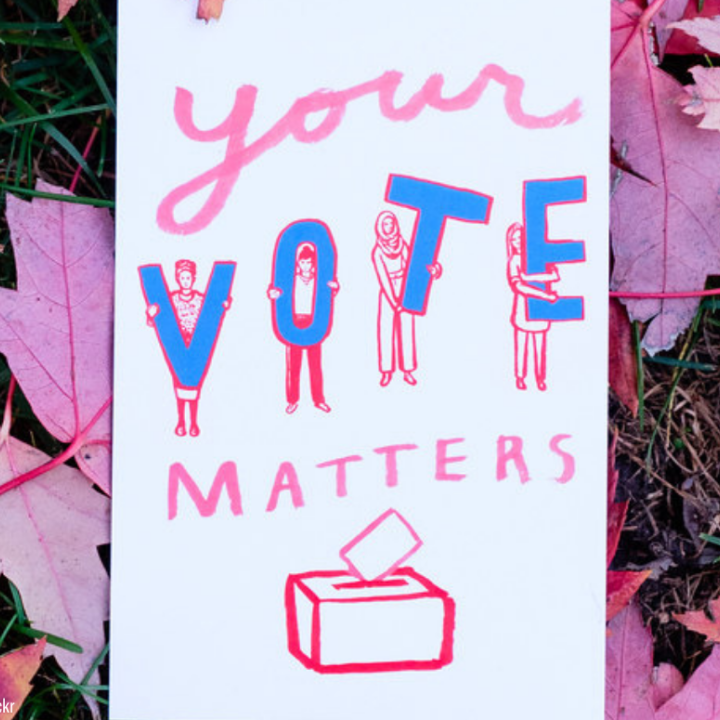 A protest sign that says "Your Vote Matters" against a background of red maple leaves